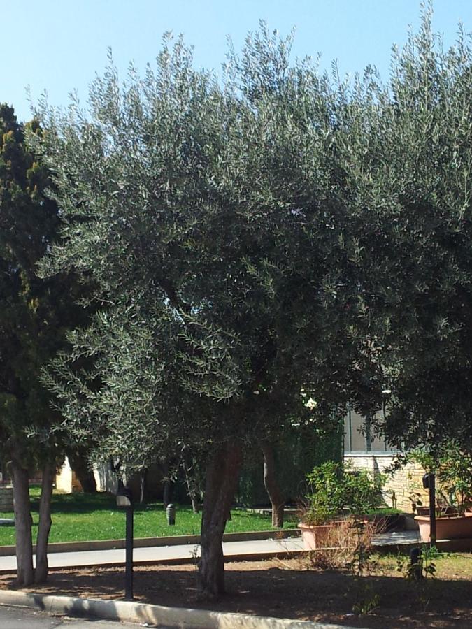 Hotel Giardino مودونيو المظهر الخارجي الصورة
