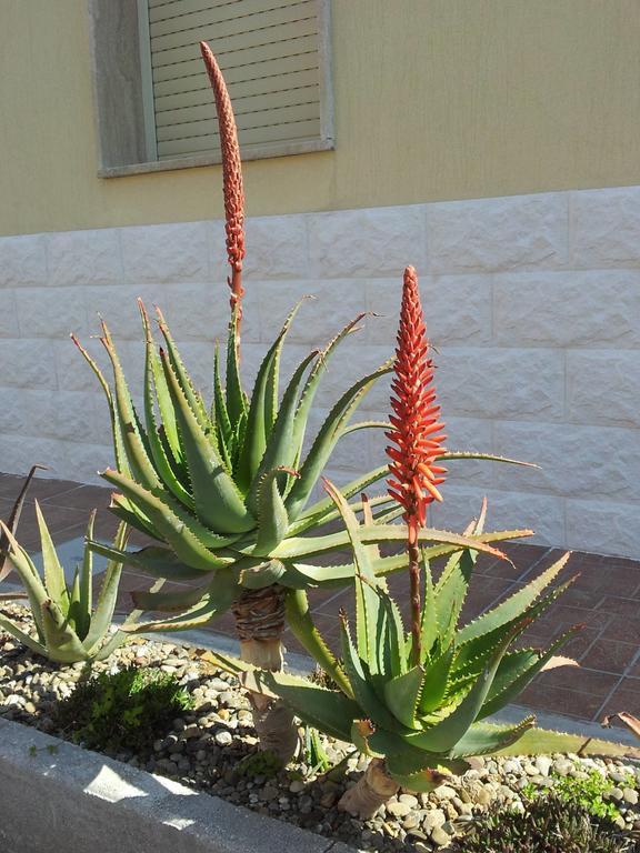 Hotel Giardino مودونيو الغرفة الصورة